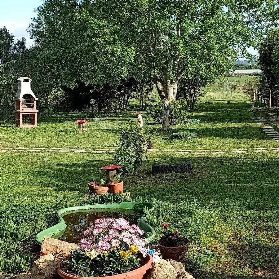 Agriturismo Il Cipresso Vada Exterior photo