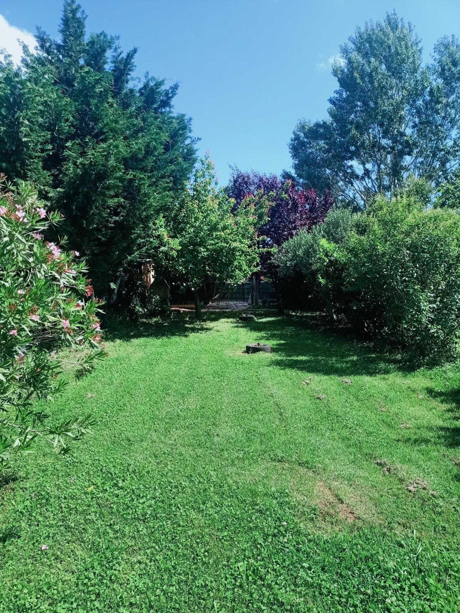 Agriturismo Il Cipresso Vada Exterior photo