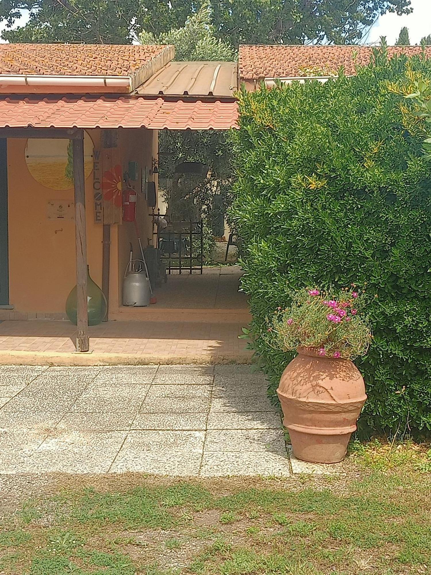 Agriturismo Il Cipresso Vada Exterior photo
