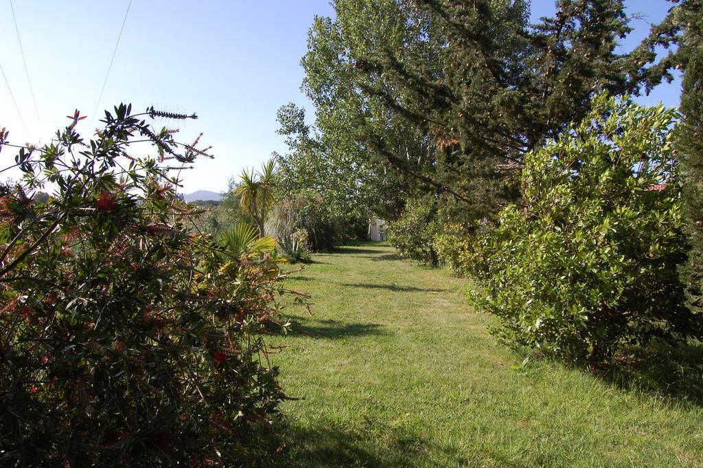 Agriturismo Il Cipresso Vada Exterior photo